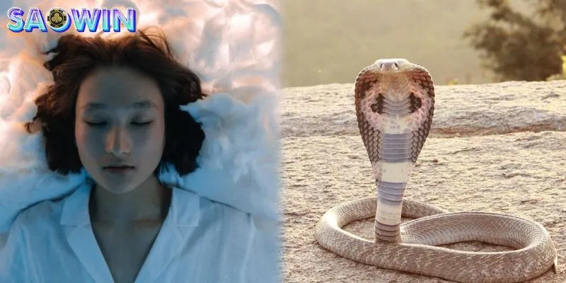 Mơ thấy rắn cắn vào mông là điềm báo không mấy tốt đẹp