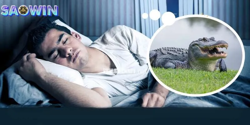 Mộng cá sấu tấn công nên đánh 69, 96