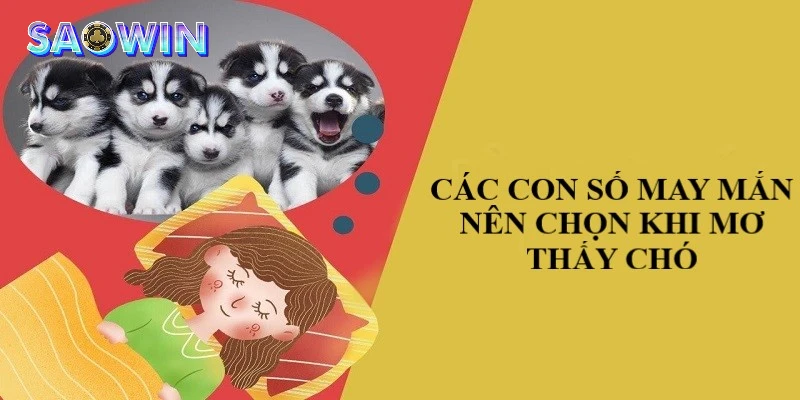 Những con số đẹp, may mắn khi nằm mơ thấy chó