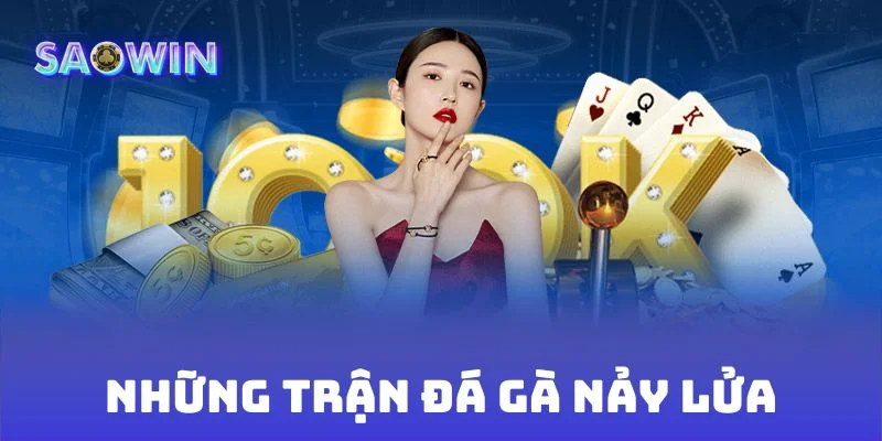 Những trận đá gà nảy lửa